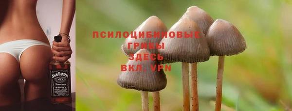 дурь Баксан