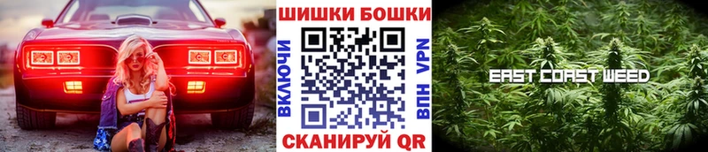 Марихуана гибрид Гай